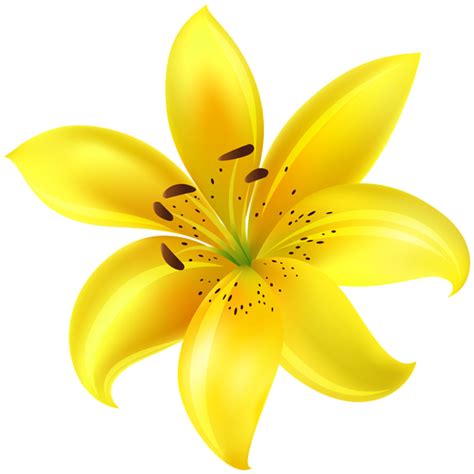 Yellow Flower Clip Art Image Yellow Flower Art Flower Art Images