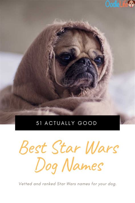 51 Actually Good Star Wars Names For Dogs The Ultimate List Oodle Life