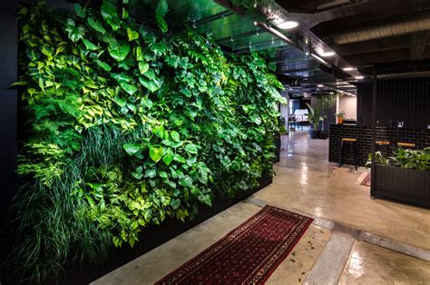 Plants Living Green Walls