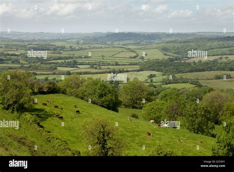 A View Out Over The West Dorset Countryside From Powerstock Village