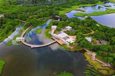 Hong Kong Wetland Park A Complete Guide For Vacationers