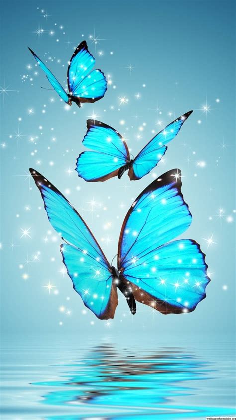 Free Blue Butterfly Wallpaper Desktop Background At