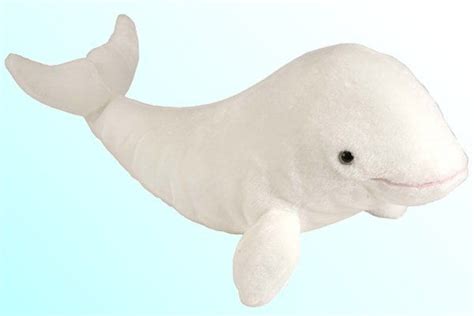 Free shipping on orders over $25 shipped by amazon. Wild Republic Cuddlekins Plush Beluga Whale | Whale ...