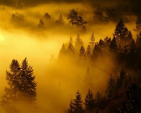 Misty Morning Sunrise Photograph By Ben Upham Iii Fine Art America