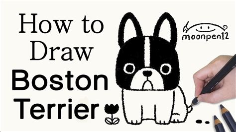How To Draw A Boston Terrier Easy
