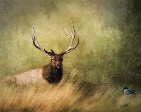 Peace Is A Journey Wildlife Art Painting By Jordan Blackstone Pixels