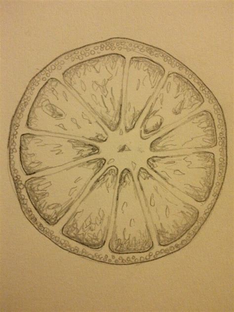 Sketch 2 Of Half Orange Printmaking Pinterest