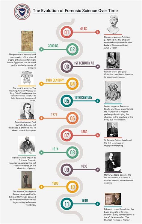 How Forensic Science Has Evolved Over Time Timeline Design Forensic