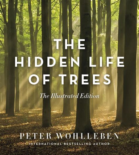 The Hidden Life Of Trees The Illustrated Edition Von Peter