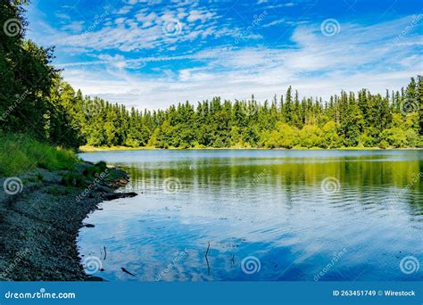 Scenic Shot Of A Lake Surrounded By Trees Reflecting On Water Surface