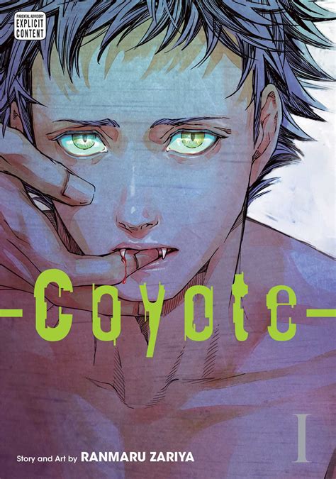 Coyote Vol 1 Review Aipt
