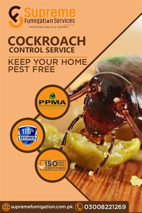 Cockroach Control Service Fumigation Services Cockroach Control Termite Control