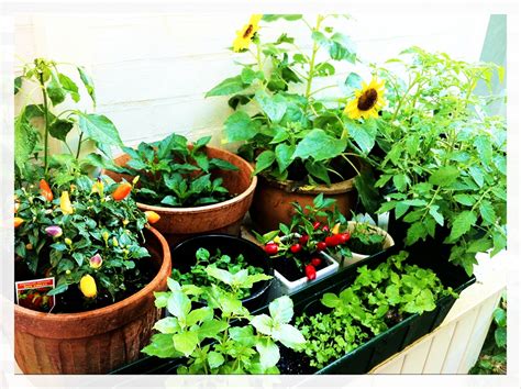 Flower And Vegetable Gardening Arapahoe County
