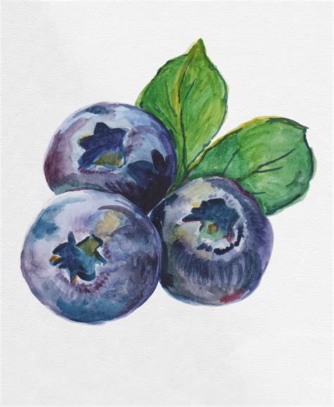 Blueberries Watercolor Art Print By Fun Stuff Society6 Fruit Art