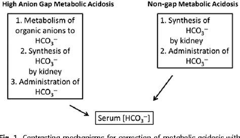 Metabolic acidosis illustrated by roger seheult, md. Figure 1 from Treatment of acute non-anion gap metabolic ...