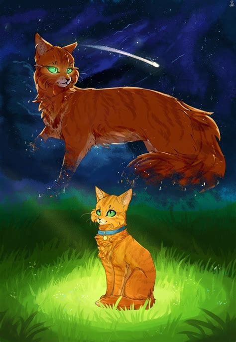 Some of the coloring page names are warrior cat scourge coloring 2795445, firestar warrior cats coloring, warrior cats drawing at getdrawings, image cat lineart by animal jam clans wiki fandom powered by wikia, warrior cats drawing at getdrawings. Warrior Cats Firestar Coloring Pages - Tripafethna