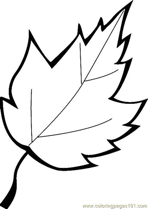 Free Printable Coloring Image Leaf Coloring Page 13 Fall Time