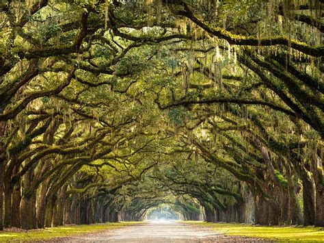 6 Of The Most Gorgeous Spring Destinations In The Us