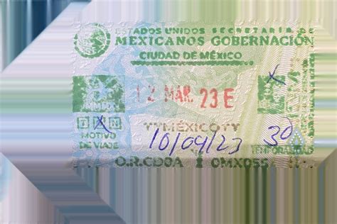 Conozca Más Sobre Su Permiso De Visitante De México Fmm Noticias 24