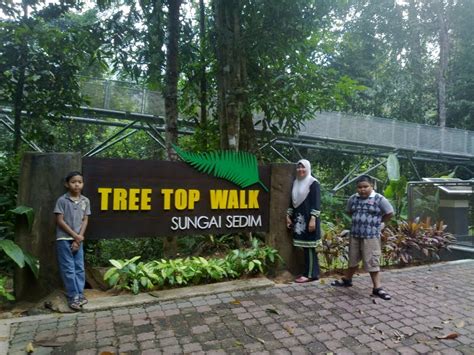 Walking through the tree top walk made of steel, the journey took us to discover some of the extinct species of timber such as kulim, meranti, medang, and keruing. Tree Top Walk Sg Sedim@Kulim - Inilah Ceritaku