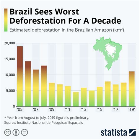 infographic brazil sees worst deforestation in a decade