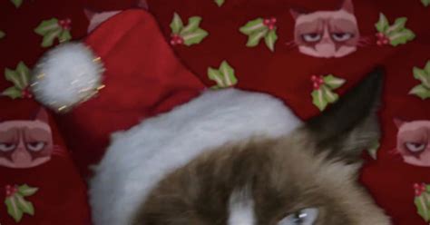 Watch Grumpy Cats Worst Christmas Ever Trailer Is Here E Online