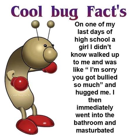 Cool Bug Fact Rcoolbugfacts