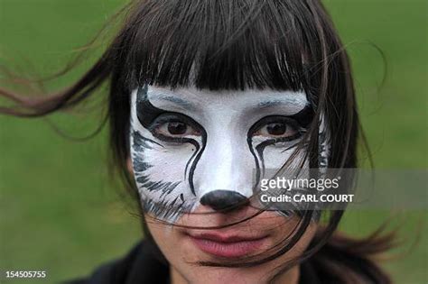 Badger Face Photos And Premium High Res Pictures Getty Images