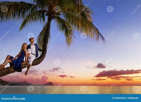 Beautiful Young Couple Sitting On Palm Tree Stock Photo Image Of