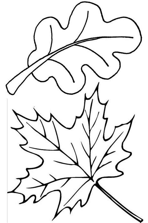 Fall coloring pages is a good mix of education and fun. Maple and Oak Fall Leaf Coloring Page - NetArt