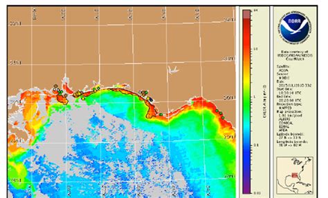 Harmful Algal Bloom Monitoring And Forecasting In The Gulf Of Mexico
