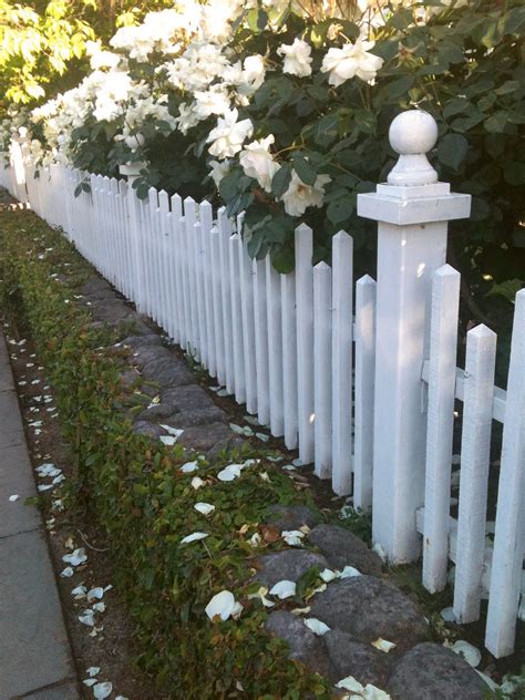 What's the difference between a picket fence and a gate? White Picket Fence Love! | White picket fence, Picket ...