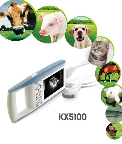 Portable Ultrasound Machine Veterinary Livestock Cattle Horse Palm