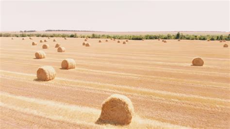 Hay Bales In The Landscape Image Free Stock Photo Public Domain