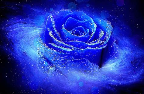 40 Most Beautiful And Cool Backgrounds For Your Desktop Blue Rose