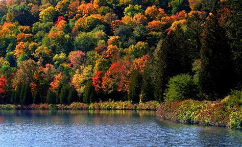 Beyond Be Leaf The Best Fall Foliage Destinations In America