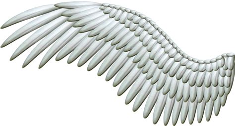 White Angel Wings Png Transparent Background Free Download 36438