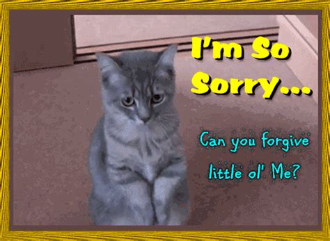 A Cute Sorry Ecard For You Free Sorry Ecards Greeting Cards 123