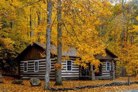 Pet Friendly Cabins In West Virginia State Parks Cabin Photos Collections
