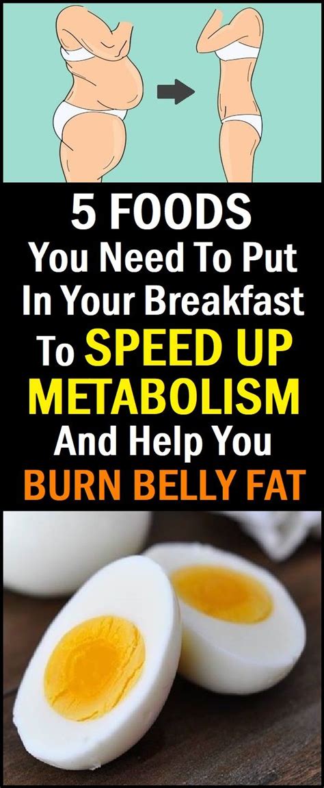 5 Foods You Need To Put In Your Breakfast To Speed Up Metabolism And