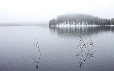 Wallpaper Lake Reflection Sky Morning Mist River Fog Reservoir