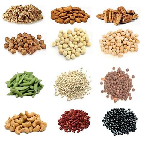 When it comes to settling the issue about protein, its various sources and the amounts we need in order to build skeletal muscle there are four key questions that truly matter: Best Vegan Muscle Building Protein Foods: Nutrition Tips ...