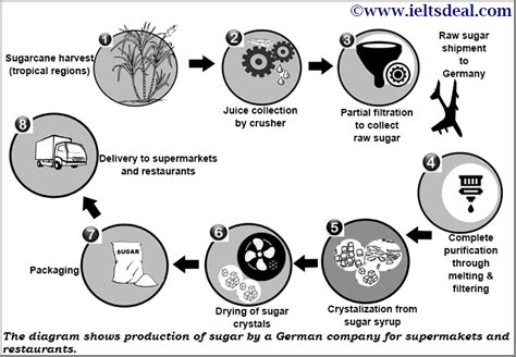 Ielts Academic Writing Task 1 Process Diagram On Sugar Production