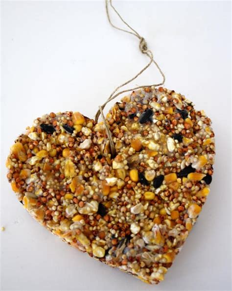 This collection of homemade bird food recipes will help you attract more birds while actually spending less of your hard earned money. Heart-Shaped Bird Feeder DIY | Alpha Mom