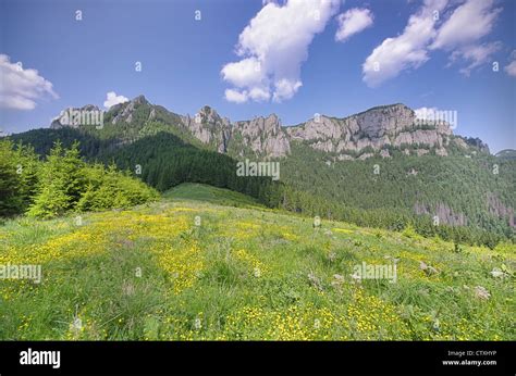 Ceahlau Mountain Landscape In Summer Romanian Carpathians Stock Photo