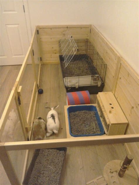 Customer Setup Ideas Rabbit Enrichment Hides Manor Pet Housing