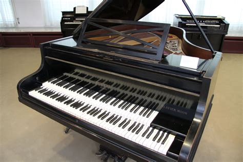 Flychordpiano Piano Piano Chords Piano Lessons