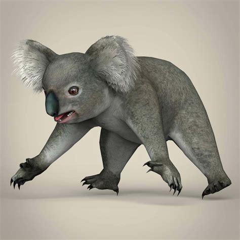 Koala 3d Model By Treeworld3d