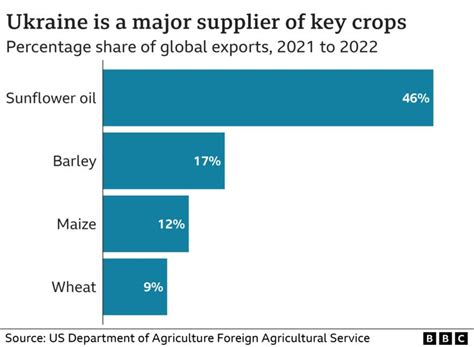 What Is The Ukraine Grain Deal And Why Is Russia Threatening To Pull