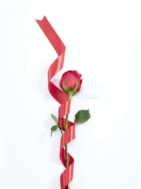 Red Rose With Ribbon Valentine Text Poster And Masks Covid 19 Stock